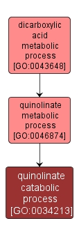 GO:0034213 - quinolinate catabolic process (interactive image map)