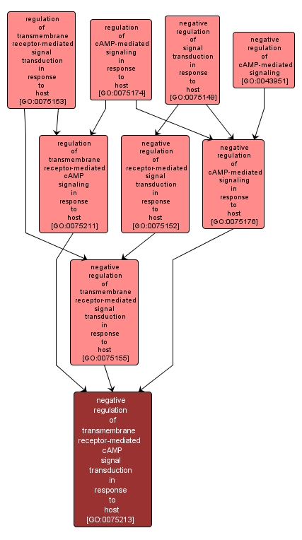 GO:0075213 - negative regulation of transmembrane receptor-mediated cAMP signal transduction in response to host (interactive image map)
