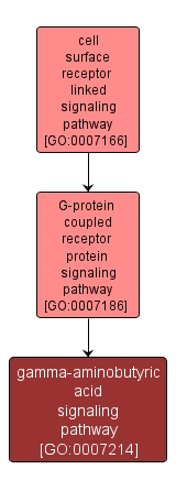 GO:0007214 - gamma-aminobutyric acid signaling pathway (interactive image map)