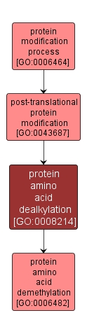 GO:0008214 - protein amino acid dealkylation (interactive image map)