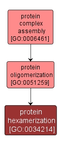 GO:0034214 - protein hexamerization (interactive image map)