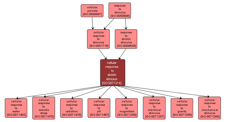 GO:0071214 - cellular response to abiotic stimulus (interactive image map)