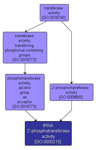 GO:0000215 - tRNA 2'-phosphotransferase activity (interactive image map)