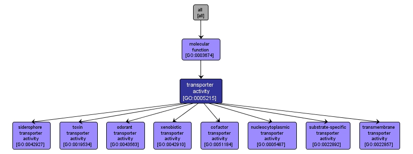 GO:0005215 - transporter activity (interactive image map)