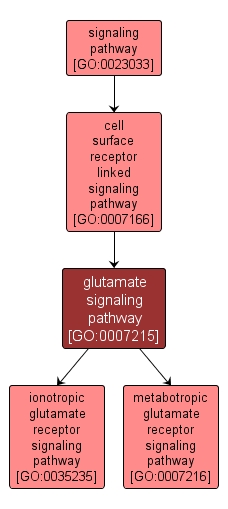 GO:0007215 - glutamate signaling pathway (interactive image map)