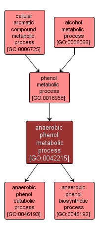 GO:0042215 - anaerobic phenol metabolic process (interactive image map)