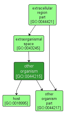 GO:0044215 - other organism (interactive image map)