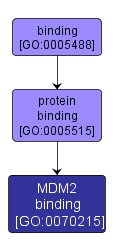 GO:0070215 - MDM2 binding (interactive image map)
