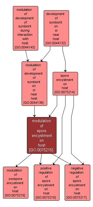 GO:0075215 - modulation of spore encystment on host (interactive image map)