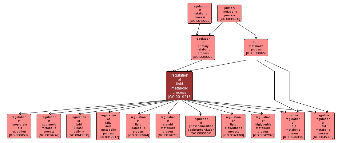 GO:0019216 - regulation of lipid metabolic process (interactive image map)