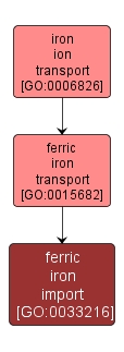 GO:0033216 - ferric iron import (interactive image map)