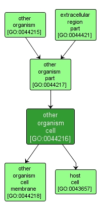 GO:0044216 - other organism cell (interactive image map)