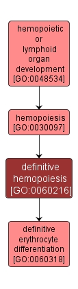 GO:0060216 - definitive hemopoiesis (interactive image map)