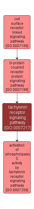 GO:0007217 - tachykinin receptor signaling pathway (interactive image map)