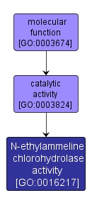 GO:0016217 - N-ethylammeline chlorohydrolase activity (interactive image map)