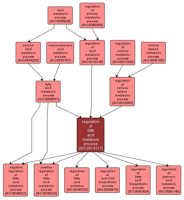 GO:0019217 - regulation of fatty acid metabolic process (interactive image map)