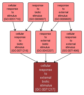 GO:0071217 - cellular response to external biotic stimulus (interactive image map)