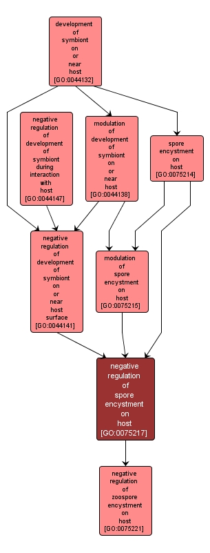 GO:0075217 - negative regulation of spore encystment on host (interactive image map)