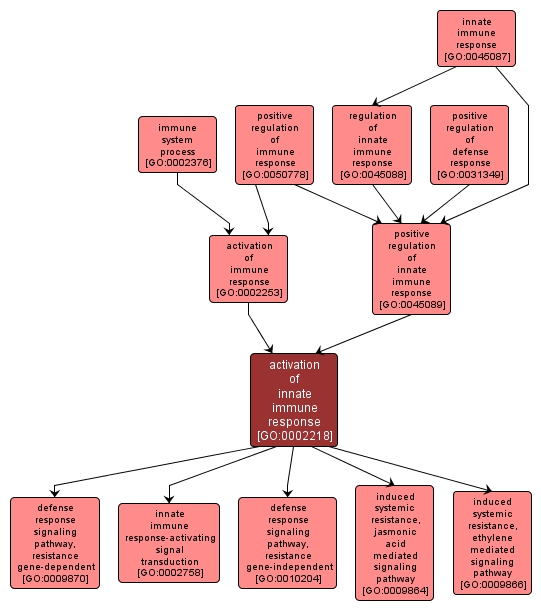 GO:0002218 - activation of innate immune response (interactive image map)