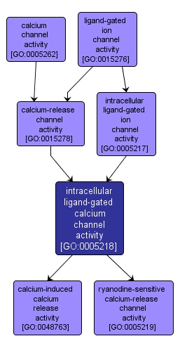 GO:0005218 - intracellular ligand-gated calcium channel activity (interactive image map)