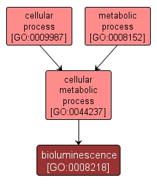 GO:0008218 - bioluminescence (interactive image map)