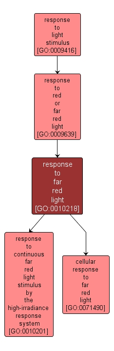 GO:0010218 - response to far red light (interactive image map)