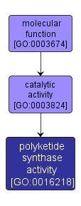 GO:0016218 - polyketide synthase activity (interactive image map)