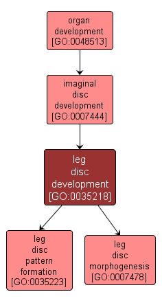 GO:0035218 - leg disc development (interactive image map)