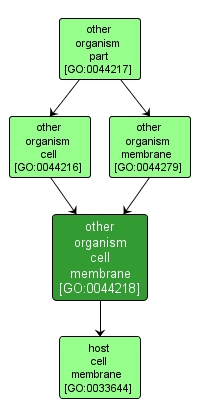 GO:0044218 - other organism cell membrane (interactive image map)