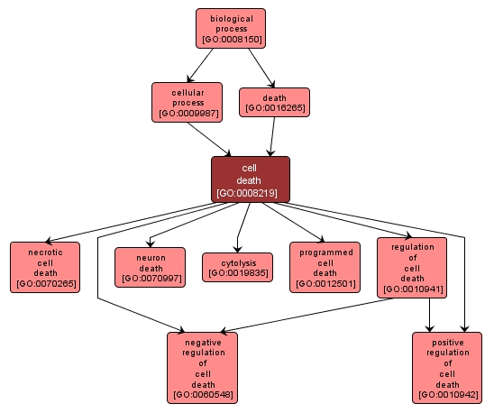 GO:0008219 - cell death (interactive image map)