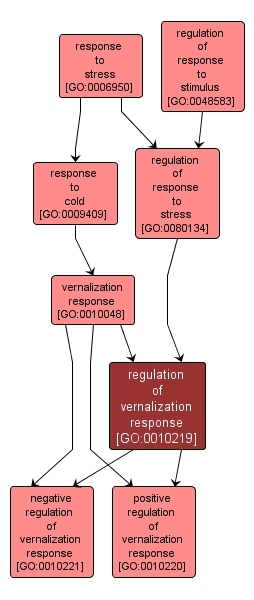 GO:0010219 - regulation of vernalization response (interactive image map)