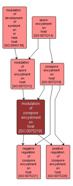 GO:0075219 - modulation of zoospore encystment on host (interactive image map)