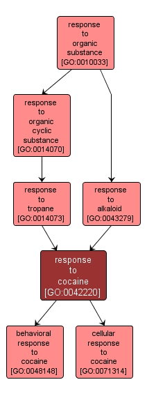 GO:0042220 - response to cocaine (interactive image map)