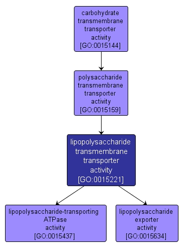GO:0015221 - lipopolysaccharide transmembrane transporter activity (interactive image map)