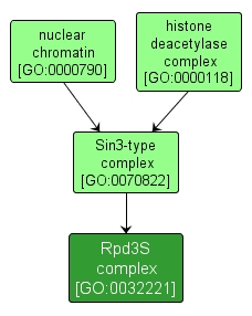 GO:0032221 - Rpd3S complex (interactive image map)