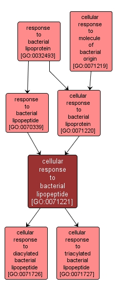 GO:0071221 - cellular response to bacterial lipopeptide (interactive image map)