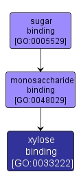 GO:0033222 - xylose binding (interactive image map)