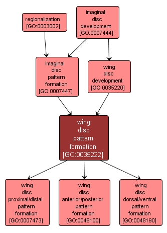 GO:0035222 - wing disc pattern formation (interactive image map)