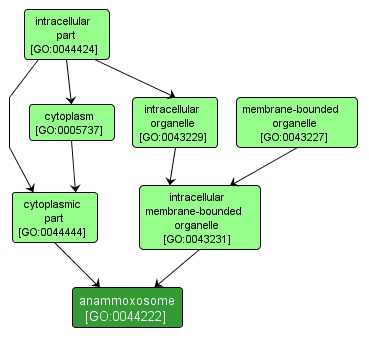 GO:0044222 - anammoxosome (interactive image map)