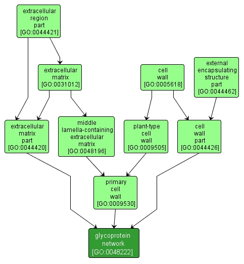 GO:0048222 - glycoprotein network (interactive image map)