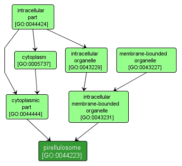 GO:0044223 - pirellulosome (interactive image map)