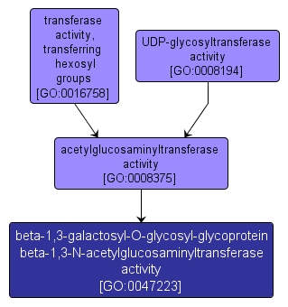 GO:0047223 - beta-1,3-galactosyl-O-glycosyl-glycoprotein beta-1,3-N-acetylglucosaminyltransferase activity (interactive image map)