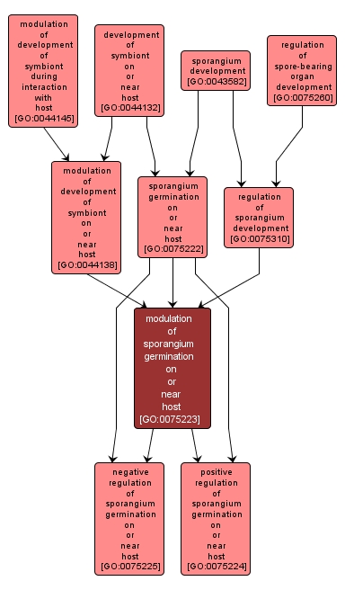 GO:0075223 - modulation of sporangium germination on or near host (interactive image map)