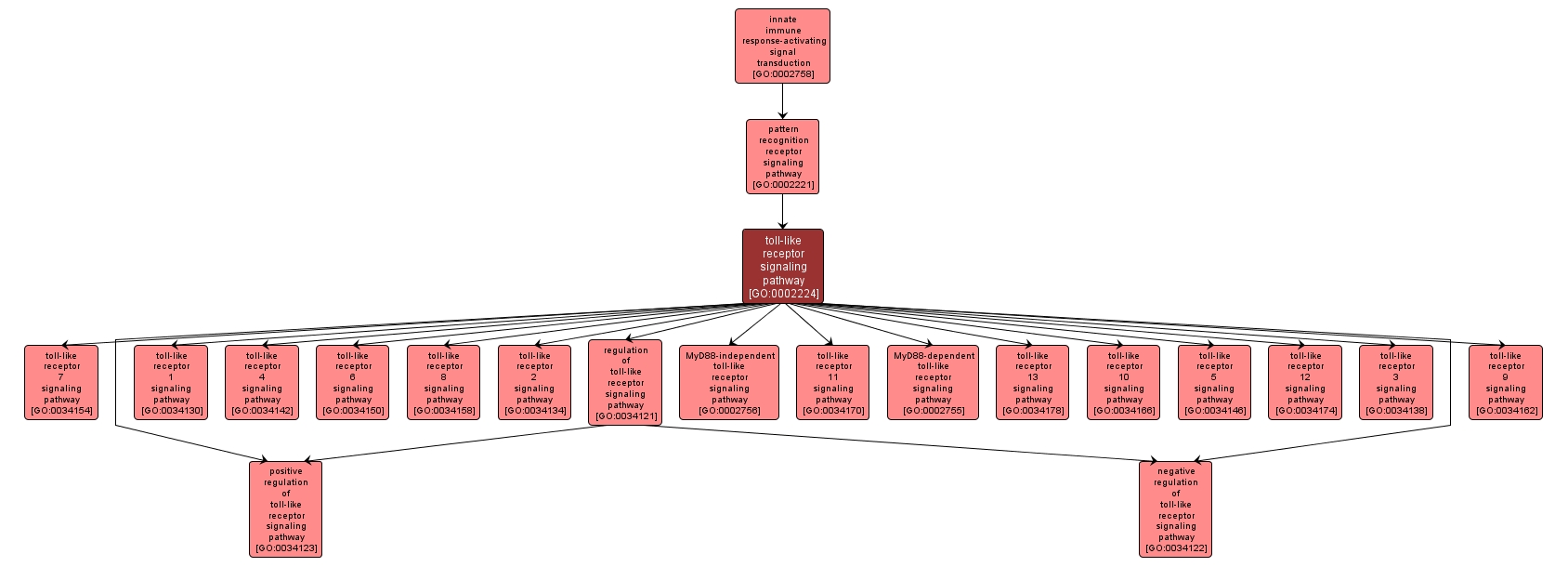 GO:0002224 - toll-like receptor signaling pathway (interactive image map)