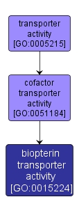 GO:0015224 - biopterin transporter activity (interactive image map)
