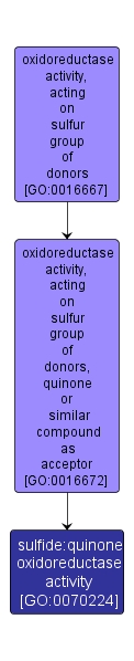 GO:0070224 - sulfide:quinone oxidoreductase activity (interactive image map)