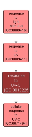 GO:0010225 - response to UV-C (interactive image map)
