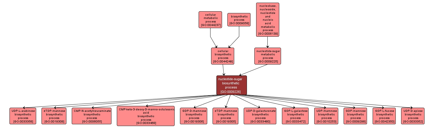 GO:0009226 - nucleotide-sugar biosynthetic process (interactive image map)