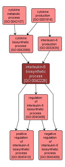 GO:0042226 - interleukin-6 biosynthetic process (interactive image map)