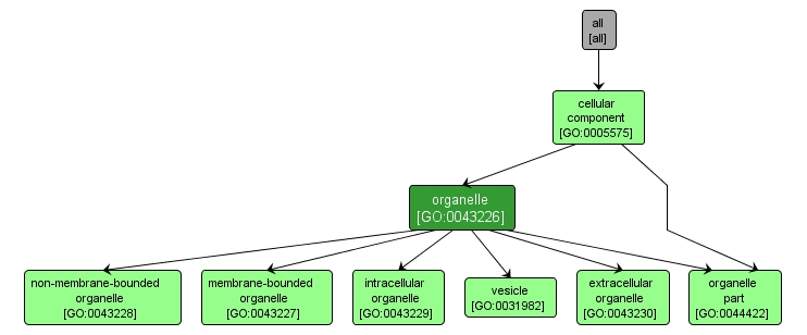 GO:0043226 - organelle (interactive image map)